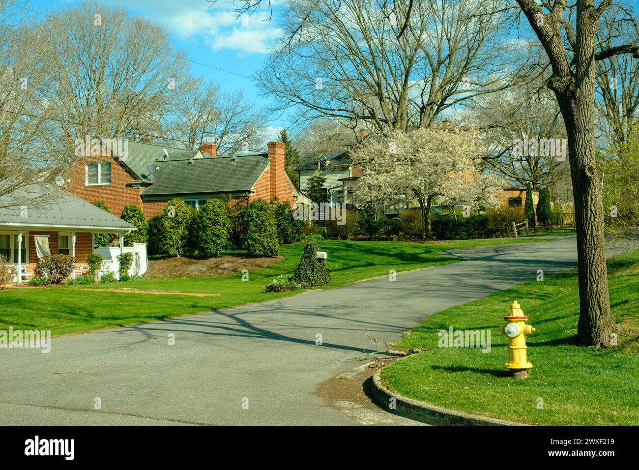 Houses and spring colors in Wytheville, Virginia Stock Photo