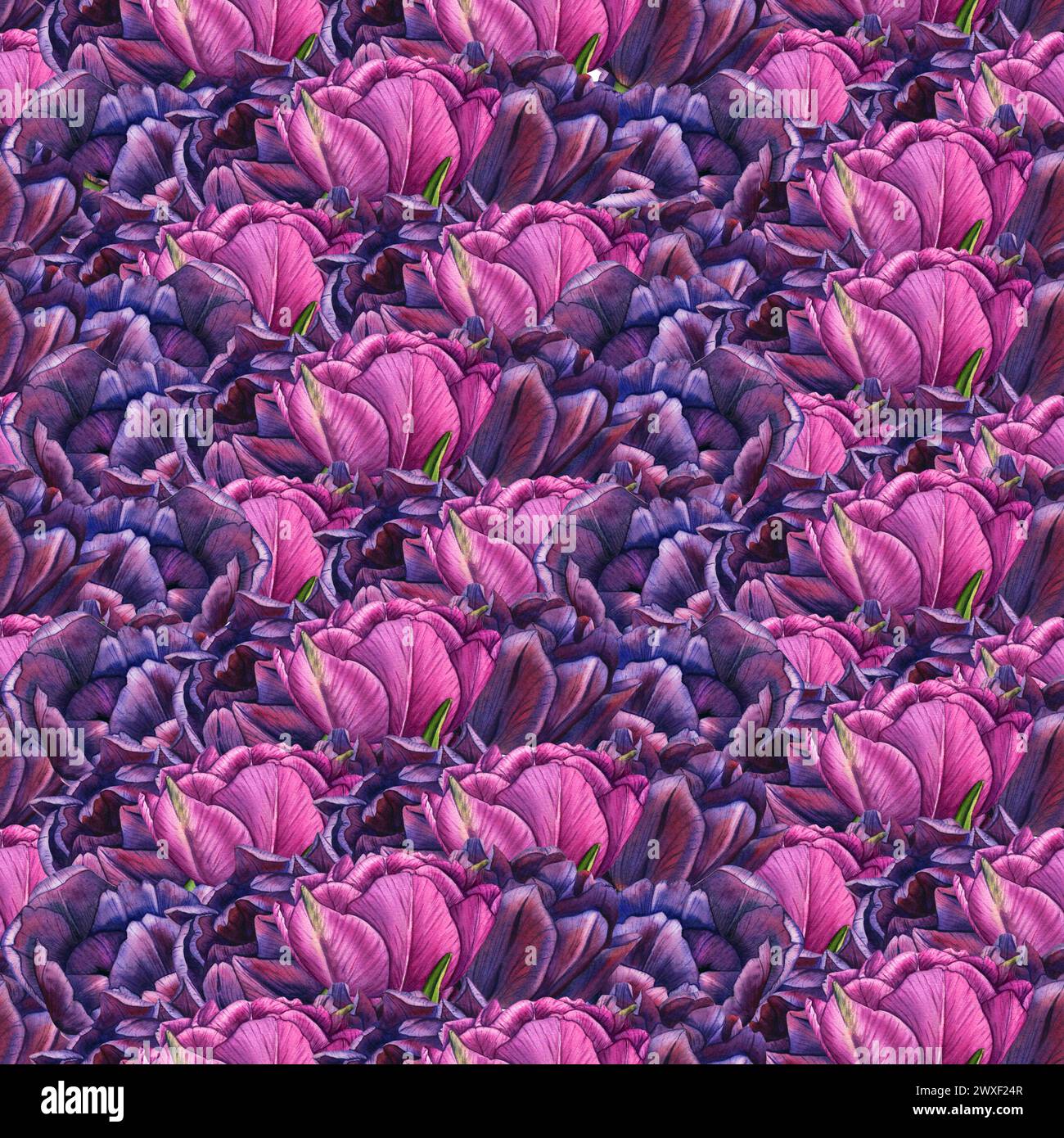 Hand drawn Watercolor Seamless Pattern Flowers Volet and Pink Tulips ...