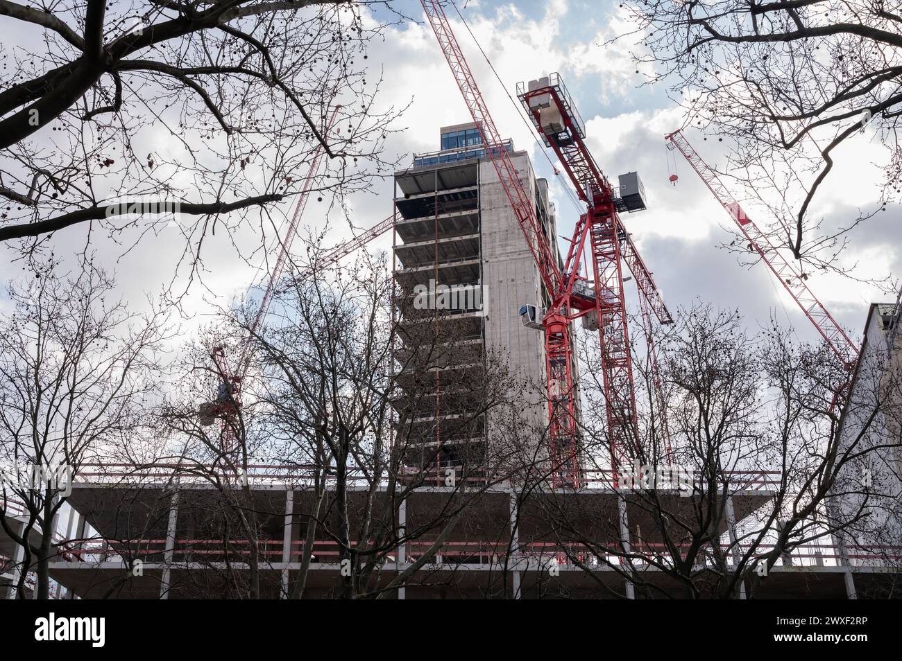 05.03.2024, Berlin, Germany, Europe - Construction cranes at Kudamm-Karree (Fuerst) building site on Kurfuerstendamm boulevard in Charlottenburg. Stock Photo