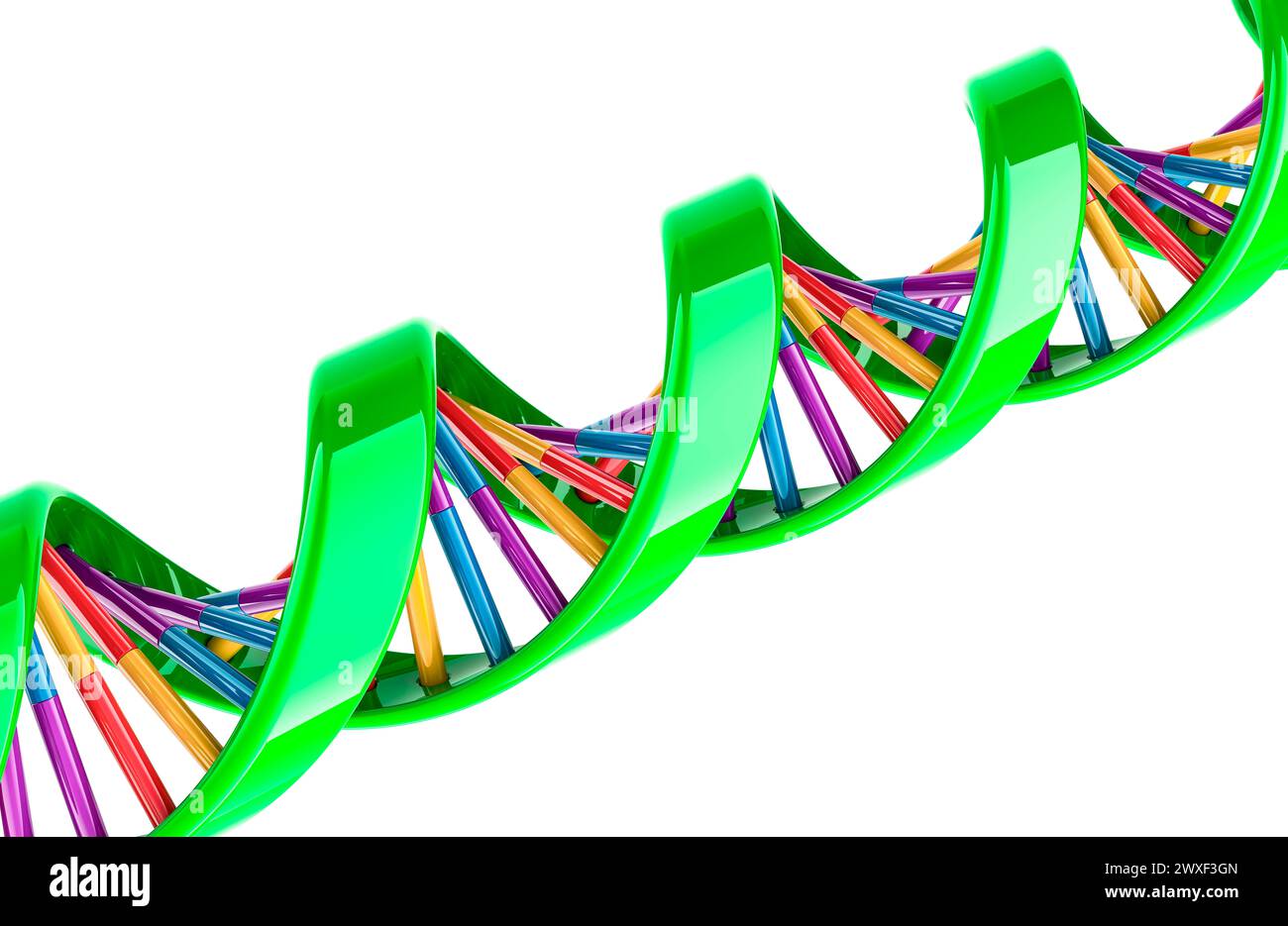 DNA spiral, 3D rendering isolated on white background Stock Photo