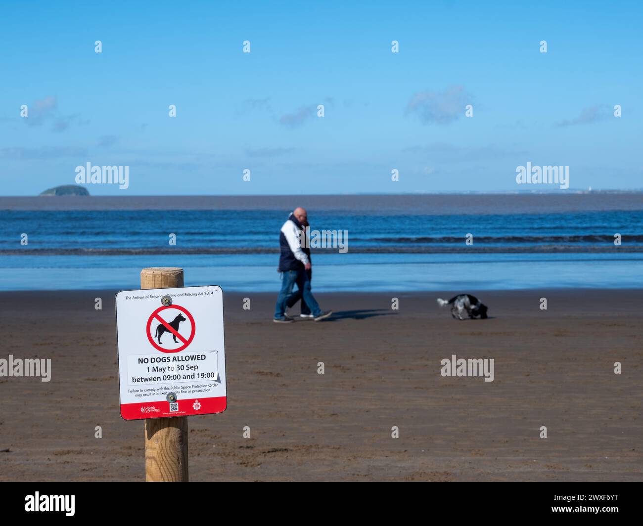 March 2024, Easter Saturday - No dogs allowed sign on the beach at Weston-super-Mare, North Somerset, England, UK. Stock Photo