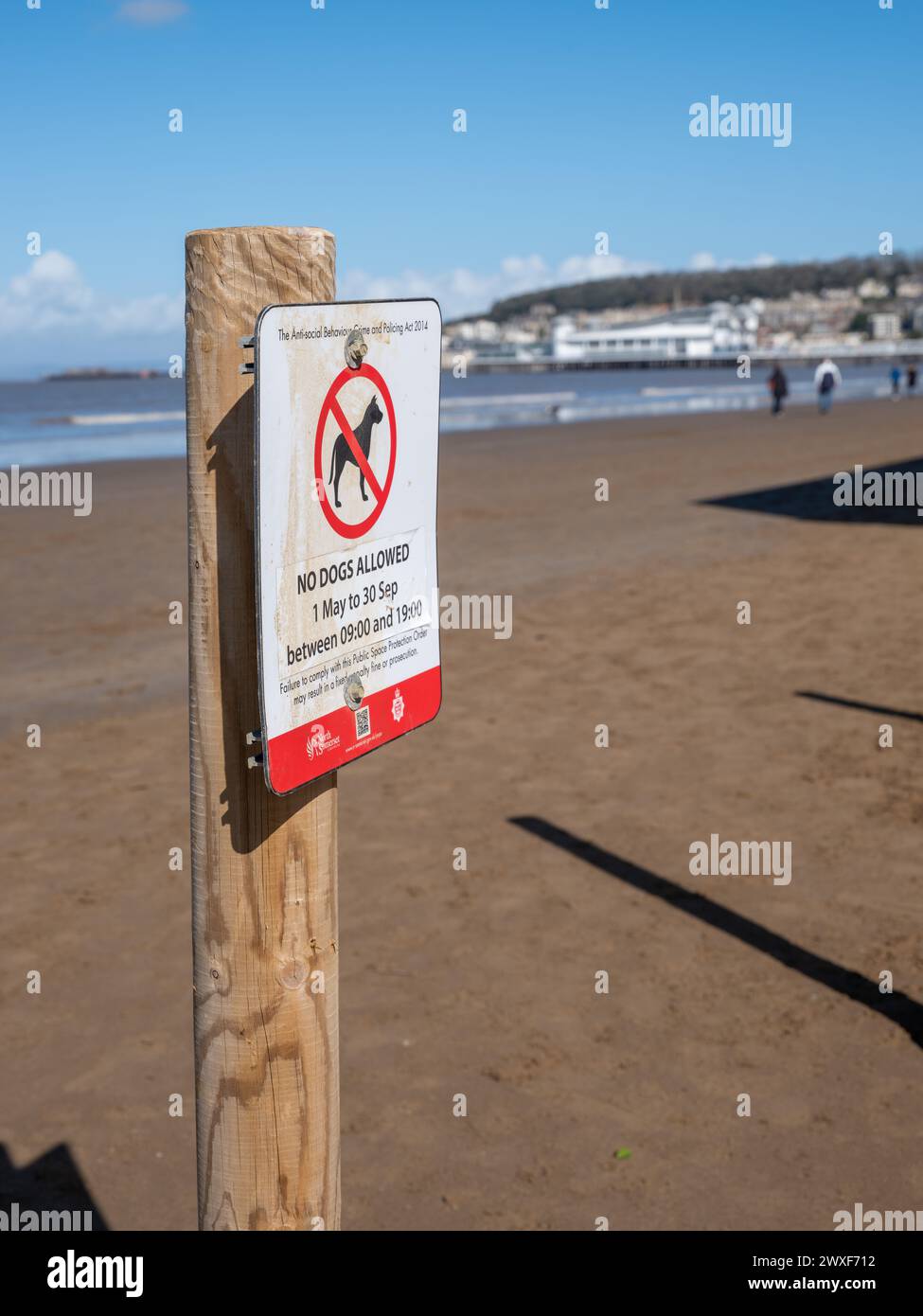 March 2024, Easter Saturday - No dogs allowed sign on the beach at Weston-super-Mare, North Somerset, England, UK. Stock Photo