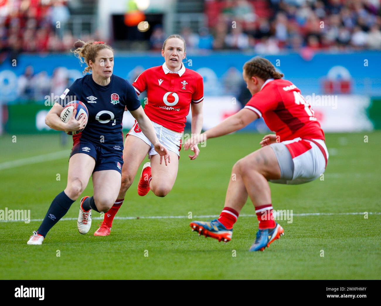 Abby Dow (Trailfinders Women) of England with the ball  England Women v Wales Women  Round 2 Womens 6 nations Ashton Gate Stadium Bristol   Saturday30 Stock Photo