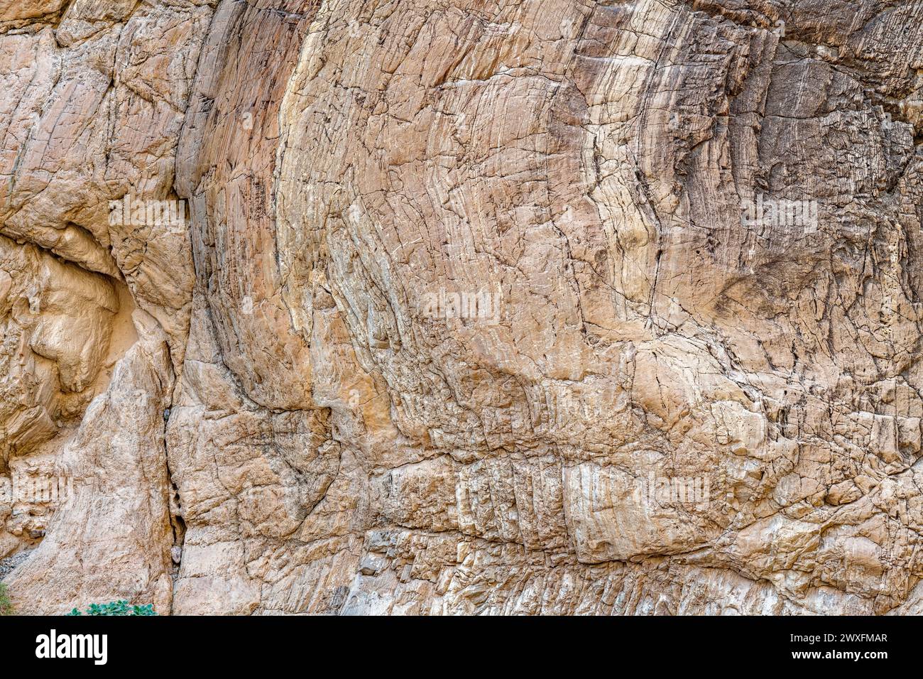 The patterns formed over time in the ancient rocks lining Titus Canyon ...