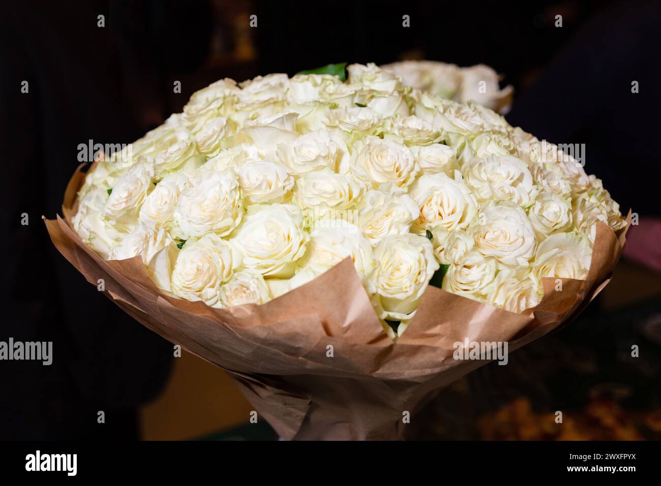 A stunning, large bouquet of fresh white roses wrapped in craft paper, perfect for special occasions or as a gift. Stock Photo