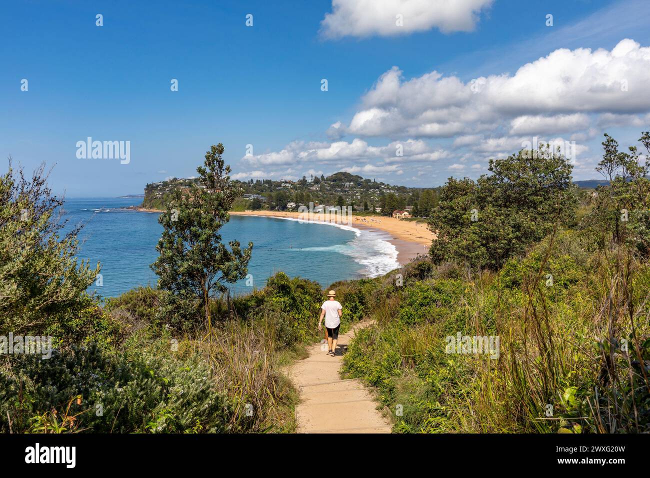 Bilgola South headland, model released woman dog walking, view towards Newport Beach on Sydney northern beaches,NSW,Australia,2024 Stock Photo