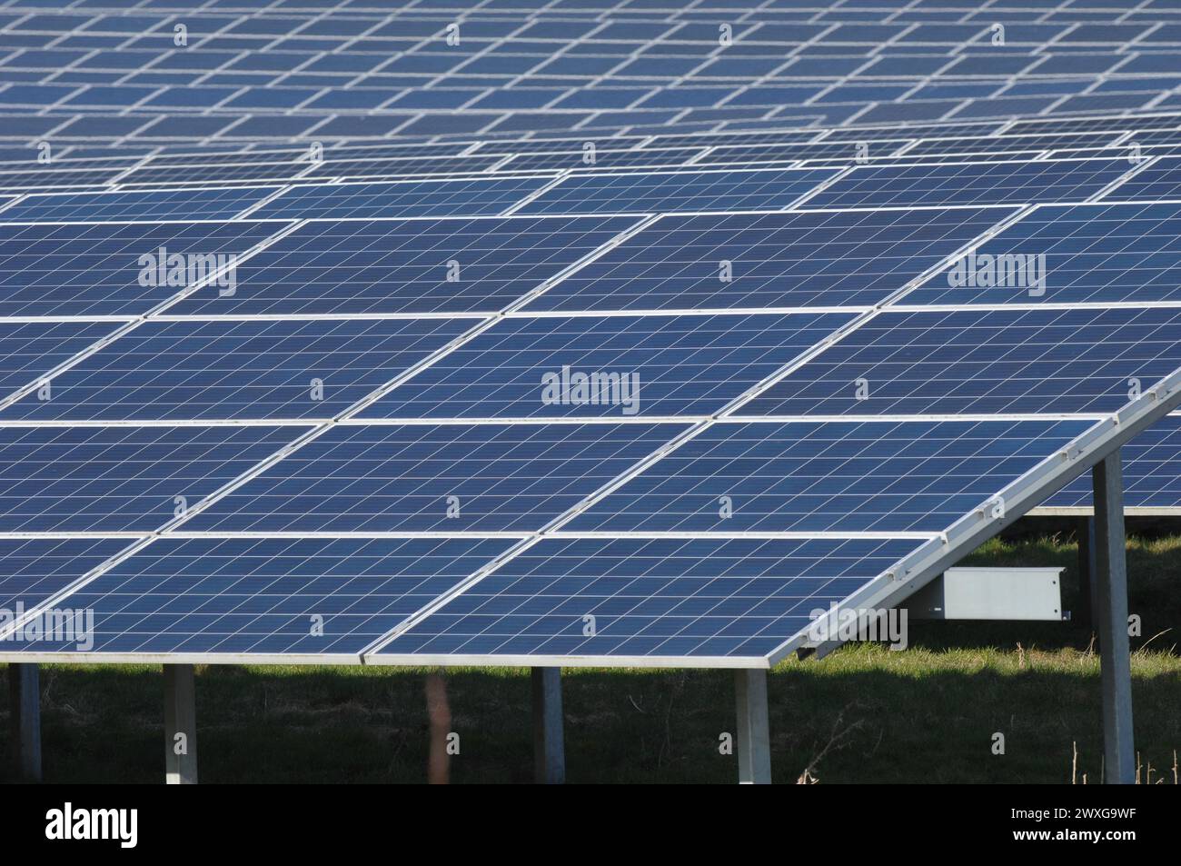 Rows of solar panels producing green energy Stock Photo - Alamy