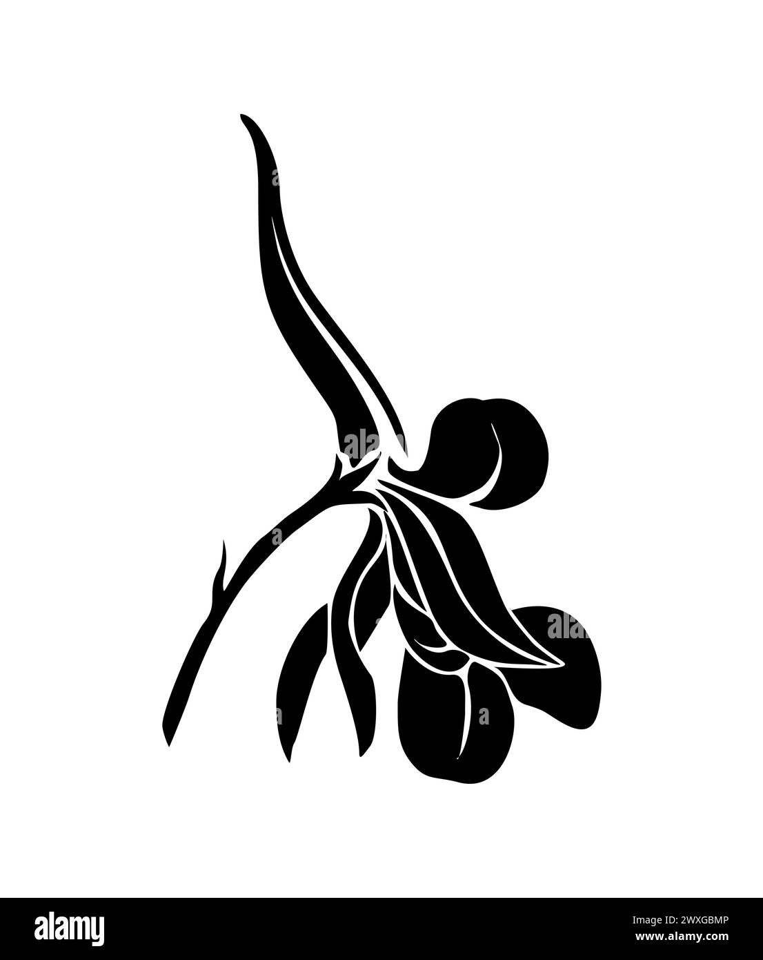 Larkspur flower black silhouette vector art icon. Stock Vector
