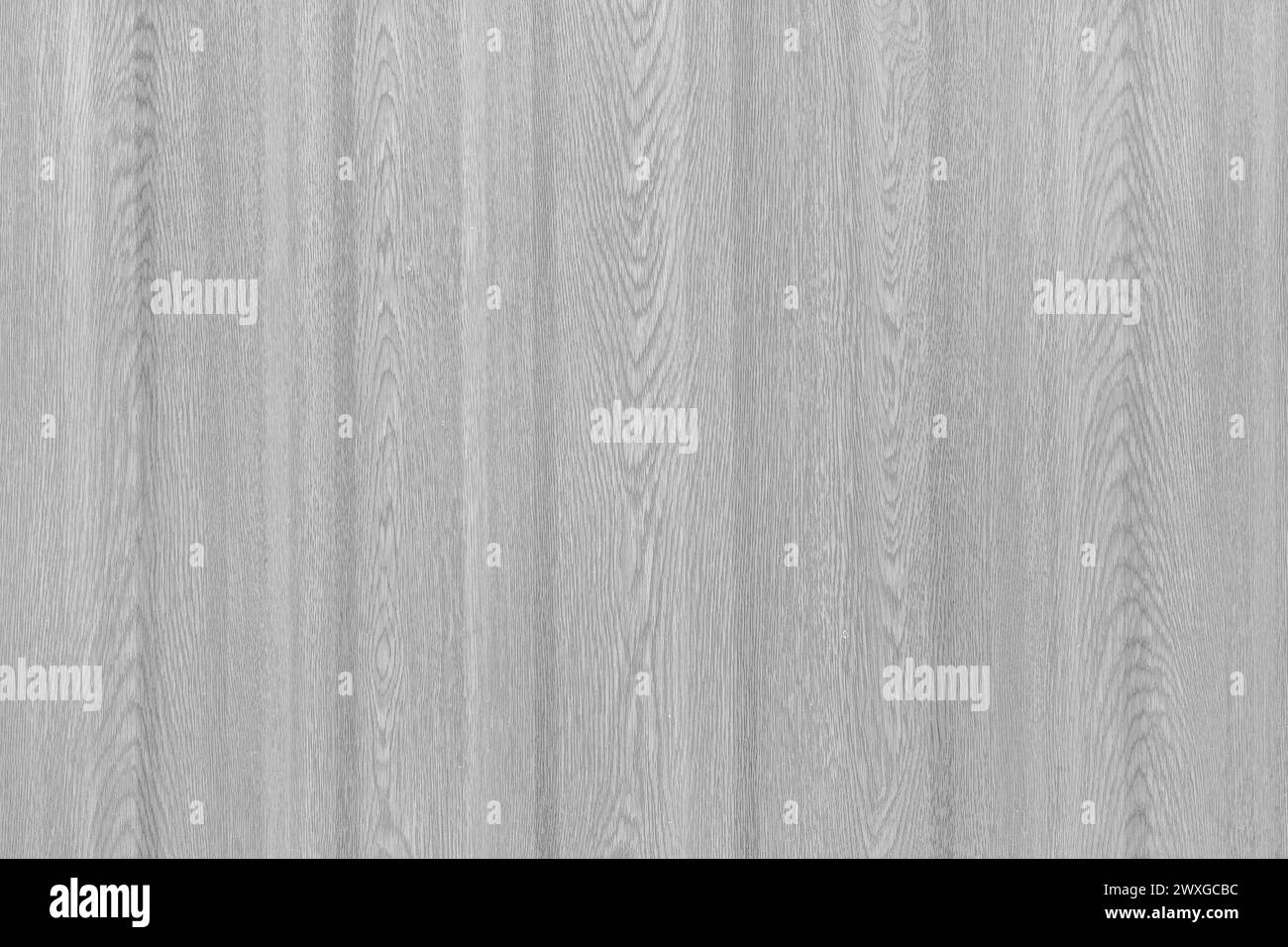 Grey Fence Boards Light Wood Texture Wooden Plank Background. Stock Photo