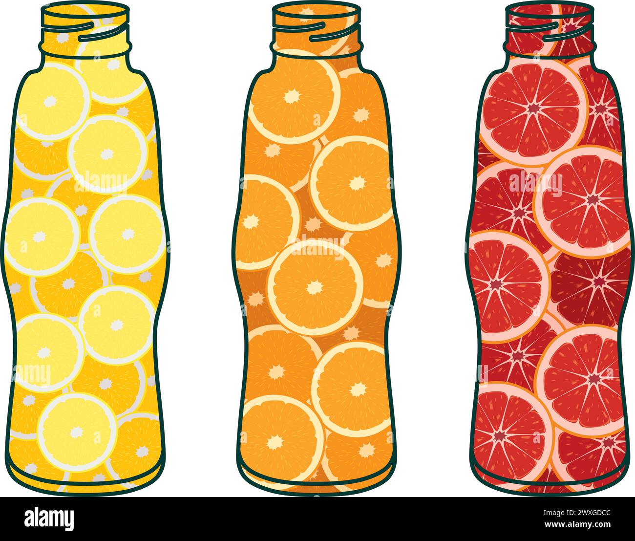 Citrus fruits in bottles, natural juice concept vector illustration ...