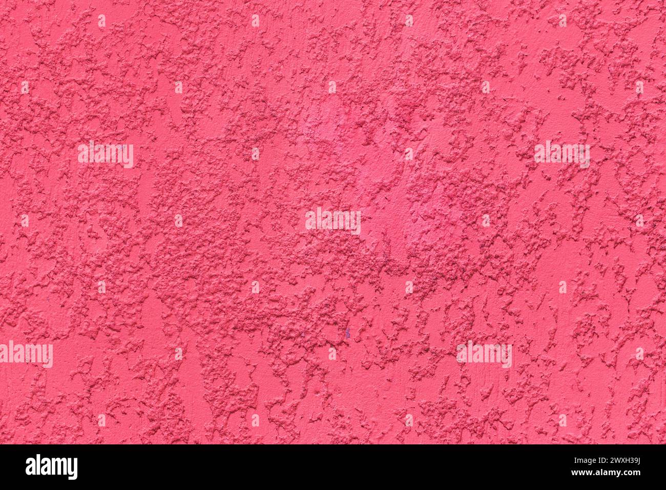 Pink paint texture plaster wall rough stucco background solid abstract pattern surface. Stock Photo