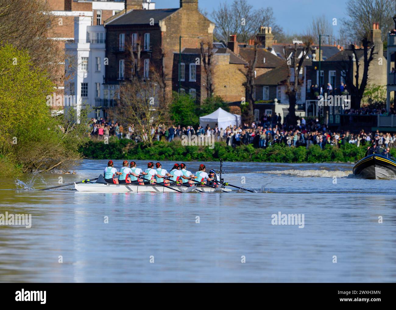 Saturday, March 30th 2024 Oxford/Cambridge Boat Race. Cambridge women's squad approaching the finish line to win the 78th Gemini Women's Boat Race. Stock Photo