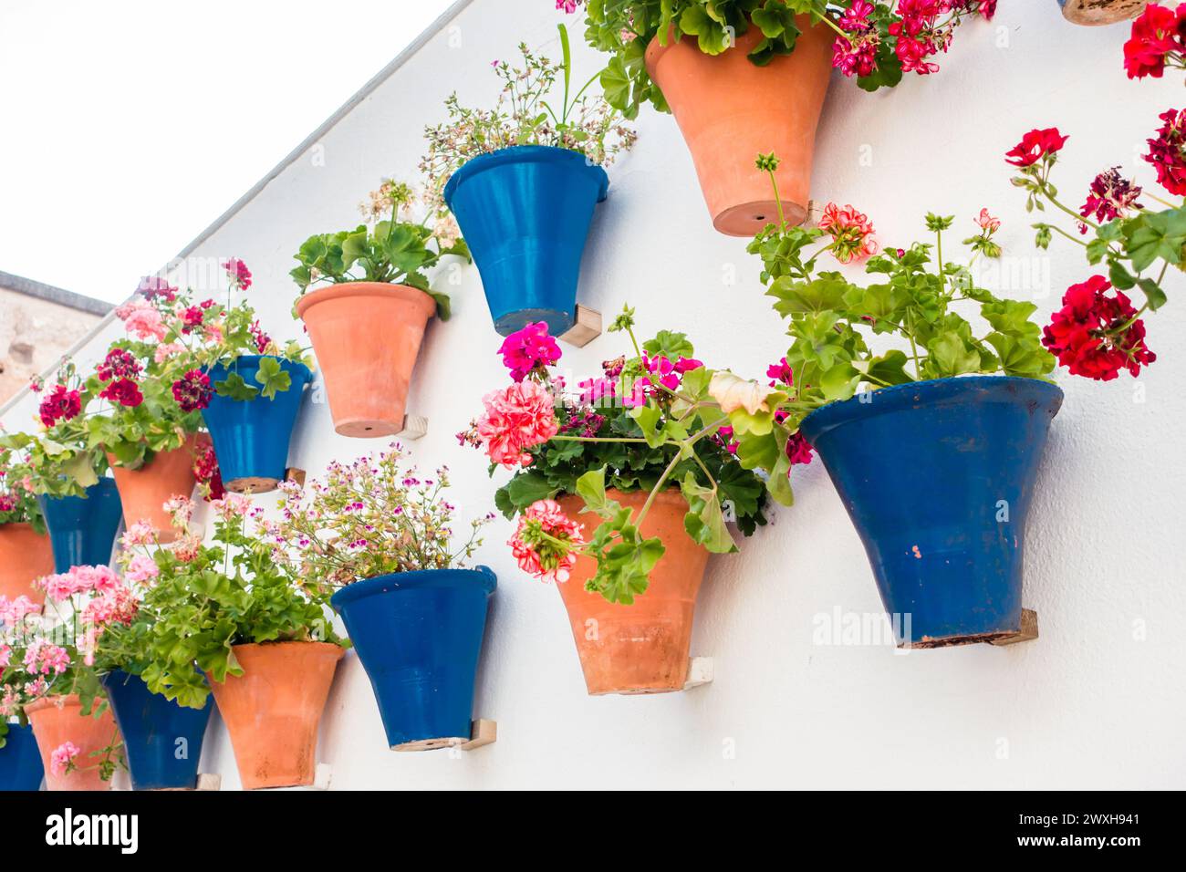 View of Hanging wall planters hi-res stock photography and images - Alamy