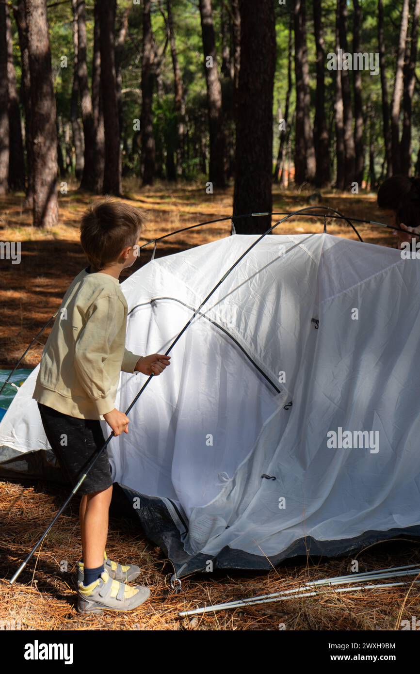 Boy pitching a tent in the woods Stock Photo