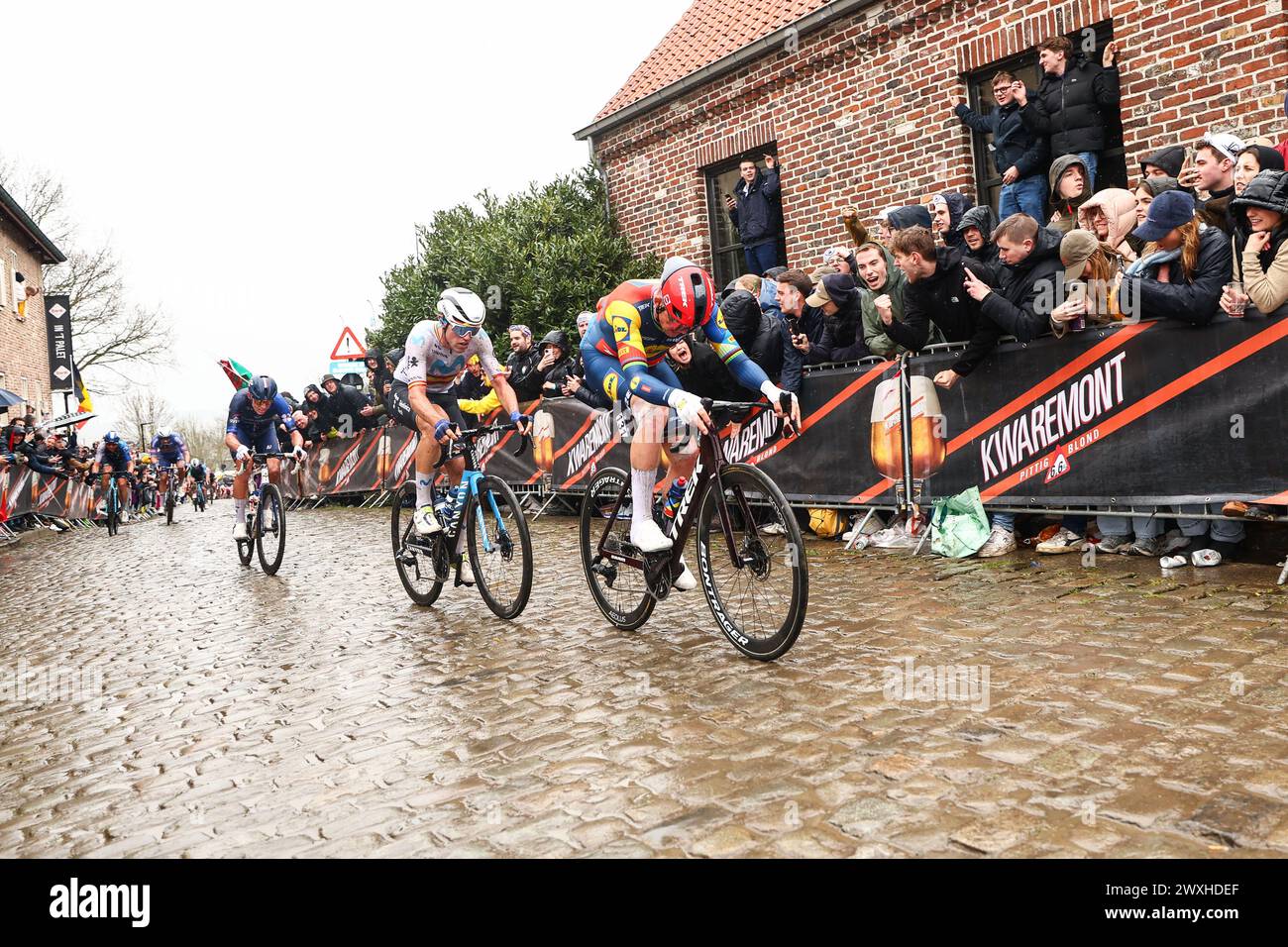 oudenaarde-belgium-31st-mar-2024-danish-mads-pedersen-of-lidl-trek