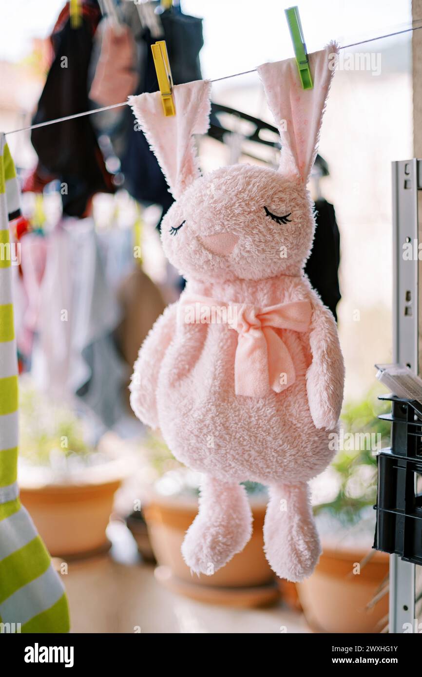 Pink plush rabbit is drying on a clothesline pinned behind its ears ...