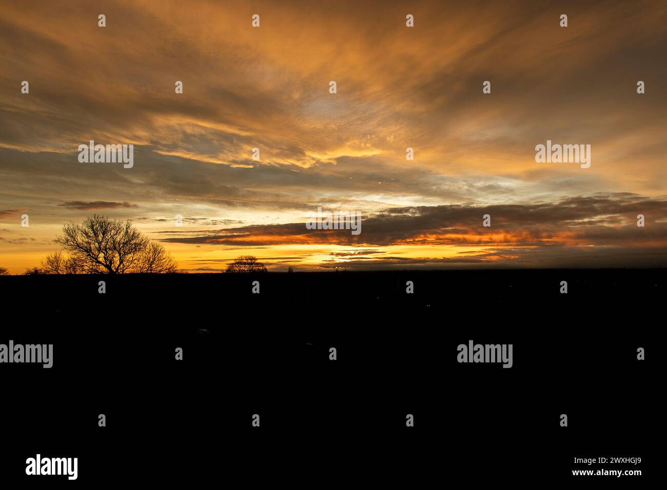Sunset behind trees with cloudy sky on a wintry day Stock Photo