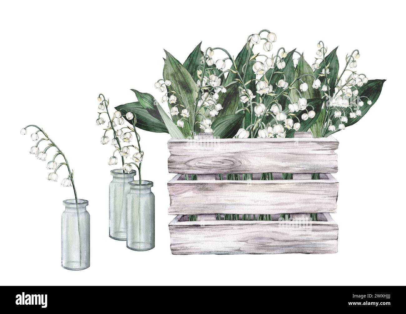 Watercolor set of illustration wooden white gray box with flower arrangement with white bouquets of lilies of the valley and lilac scilla. Hand drawn Stock Photo