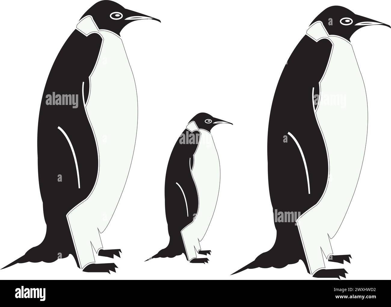 penguin icon vector illustration simple design Stock Vector Image & Art ...
