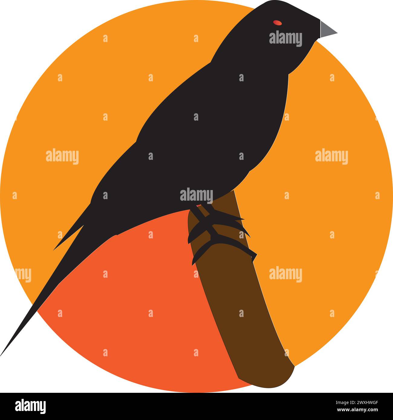 White finches Stock Vector Images - Alamy