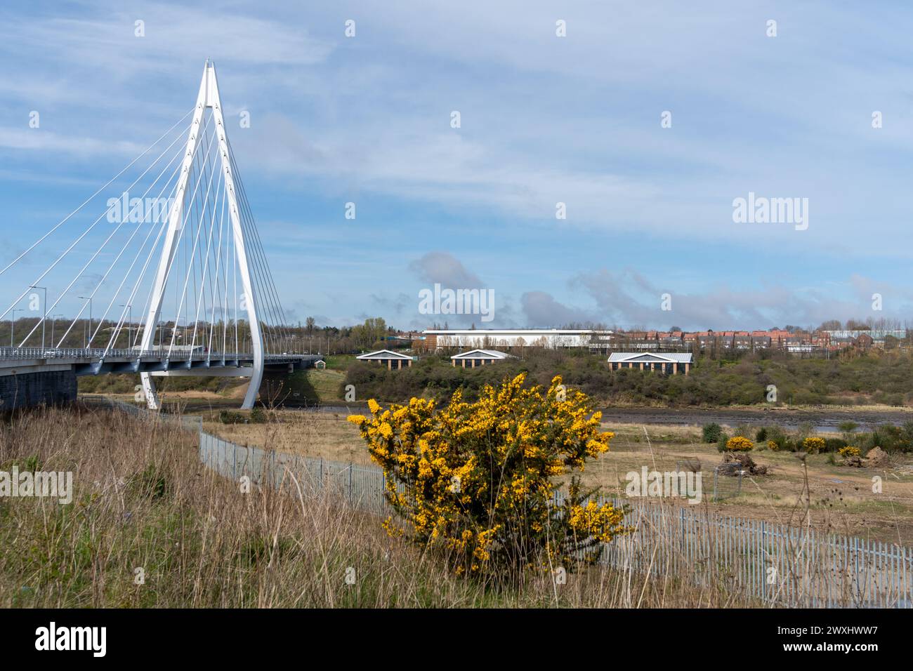 Site future Crown Works Studios in Sunderland, UK by River Wear in Pallion. FulwellCain Studios plan one of the largest filmmaking complexes in Europe Stock Photo