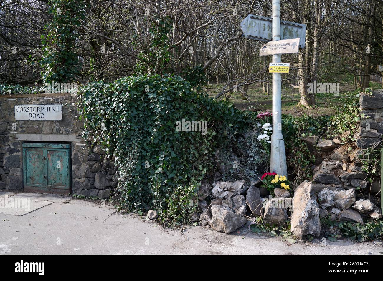 Edinburgh Scotland, UK 31 March 2024. Flowers left at the junction of Corstorphine Road, and Balgreen Road following a Police Incident.  credit sst/alamy live news Stock Photo