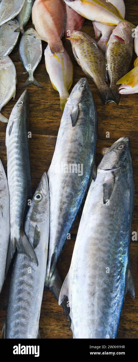 Fisheries on the coast of Sri Lanka. Selling fish at a street market. Vertical photo. Stock Photo