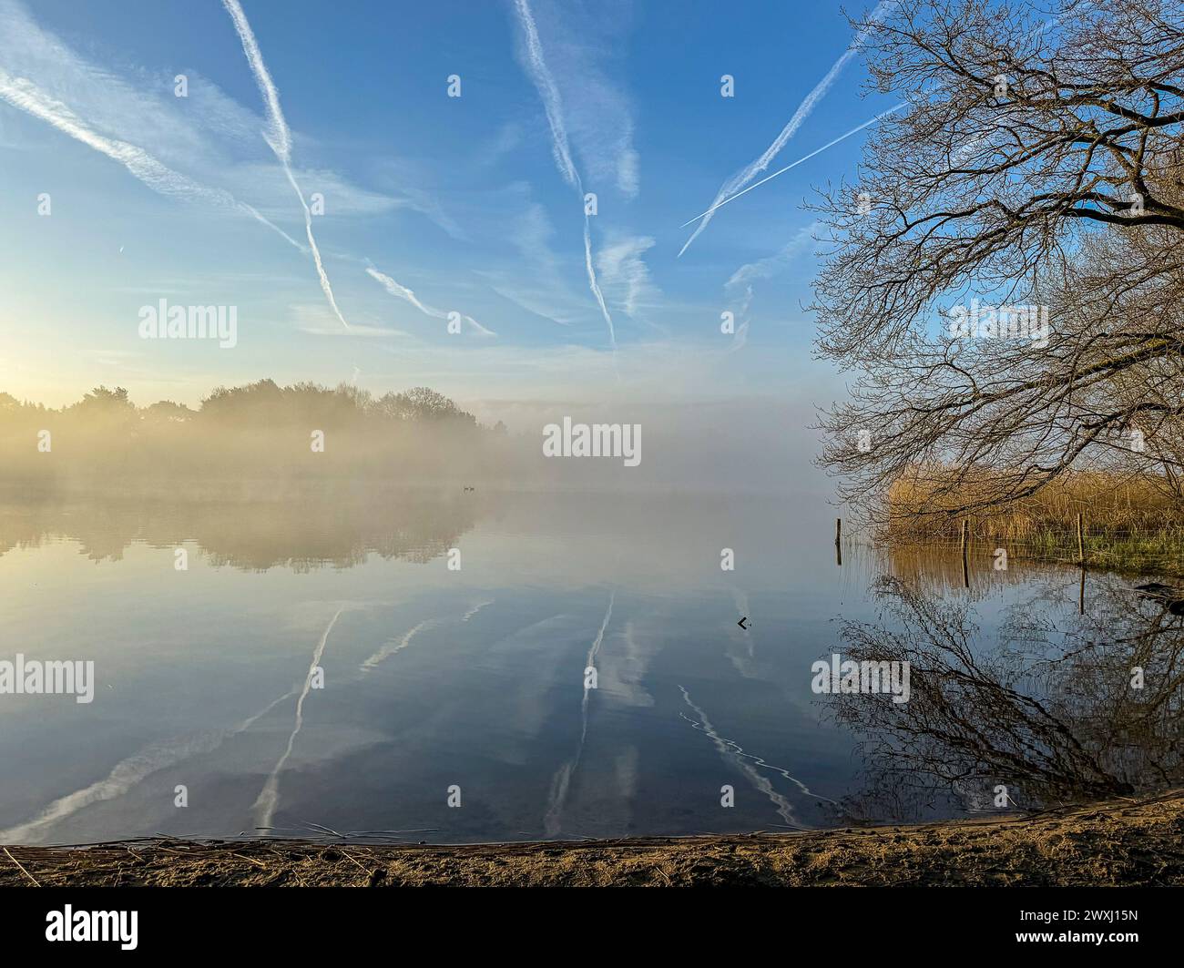 Farnham, UK. 31st Mar, 2024. Frensham Little Pond, Farnham. 31st March 2024. A foggy start to the day for the Home Counties before the fog was replaced with sunny intervals. Frensham Little Pond near Farnham in Surrey. Credit: james jagger/Alamy Live News Stock Photo