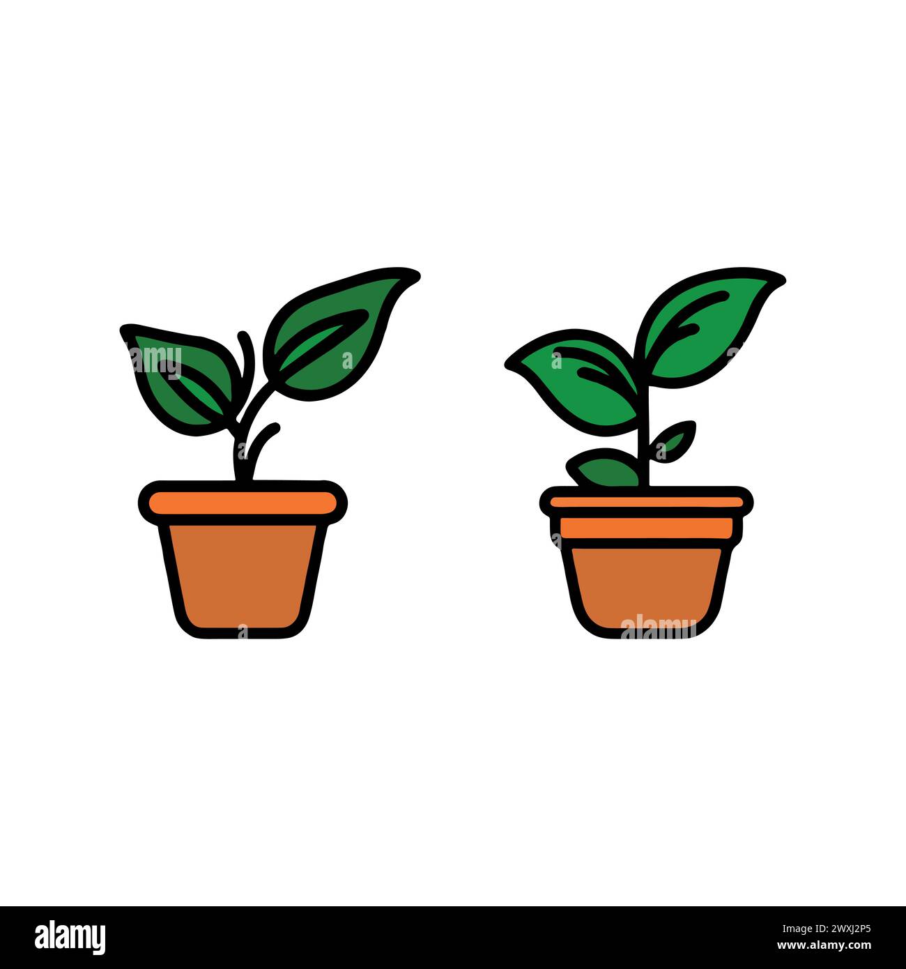 PAIR OF PLANTS, POTS AND LEAVES IN COLOR Stock Vector