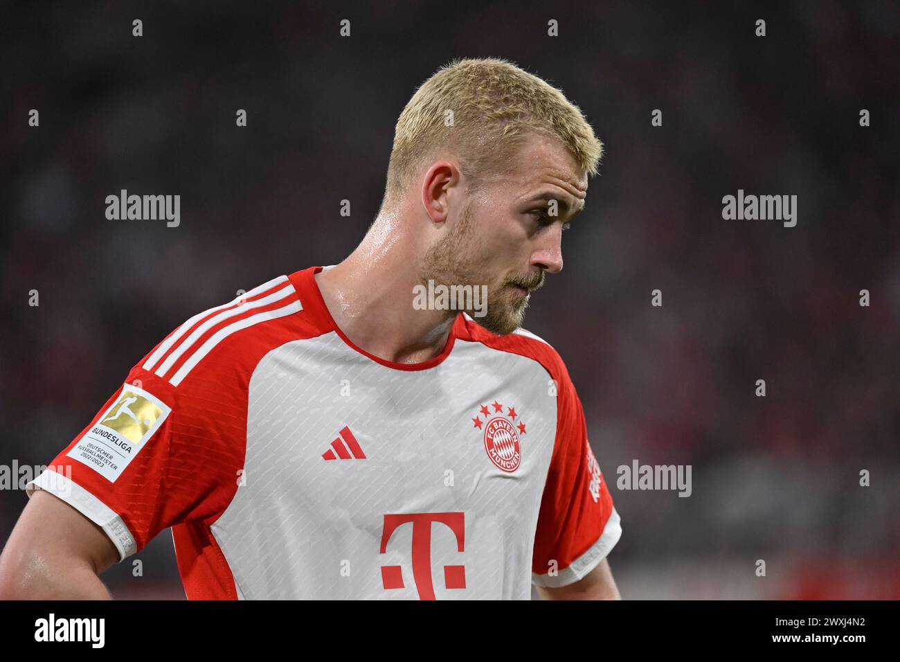 MUNICH, Germany. , . 4 Matthijs de LIGT during the Bundesliga Football match between Fc Bayern Muenchen and Borussia Dortmund, BvB, at the Allianz Arena in Munich on 30. March 2024, Germany. DFL, Fussball, 0:2(Photo and copyright @ Jerry ANDRE/ATP images) (ANDRE Jerry/ATP/SPP) Credit: SPP Sport Press Photo. /Alamy Live News Stock Photo