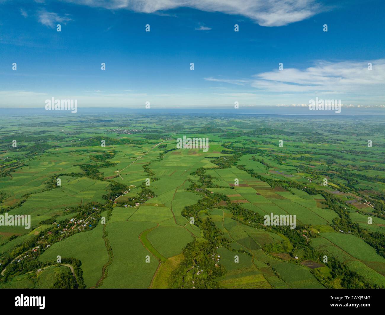 Sugarcane plantations in the tropics. Negros, Philippines Stock Photo ...