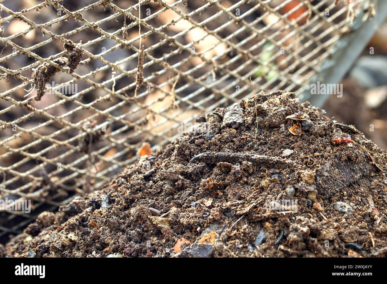 Freshly sifted compost soil to fertilize the garden Stock Photo