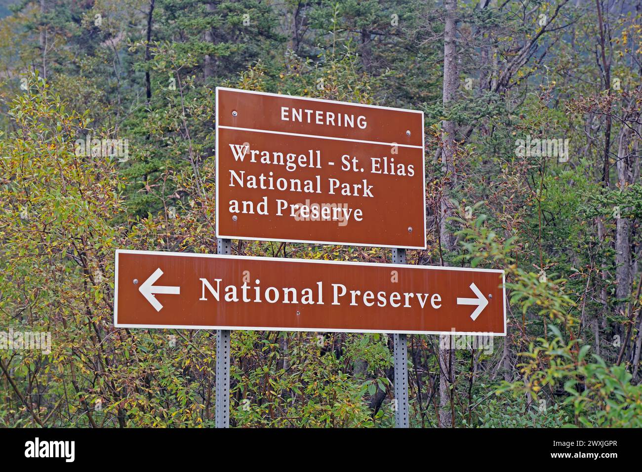 Signpost in the forest, Wrangell-St. Elias National Park, Alaska, USA Stock Photo