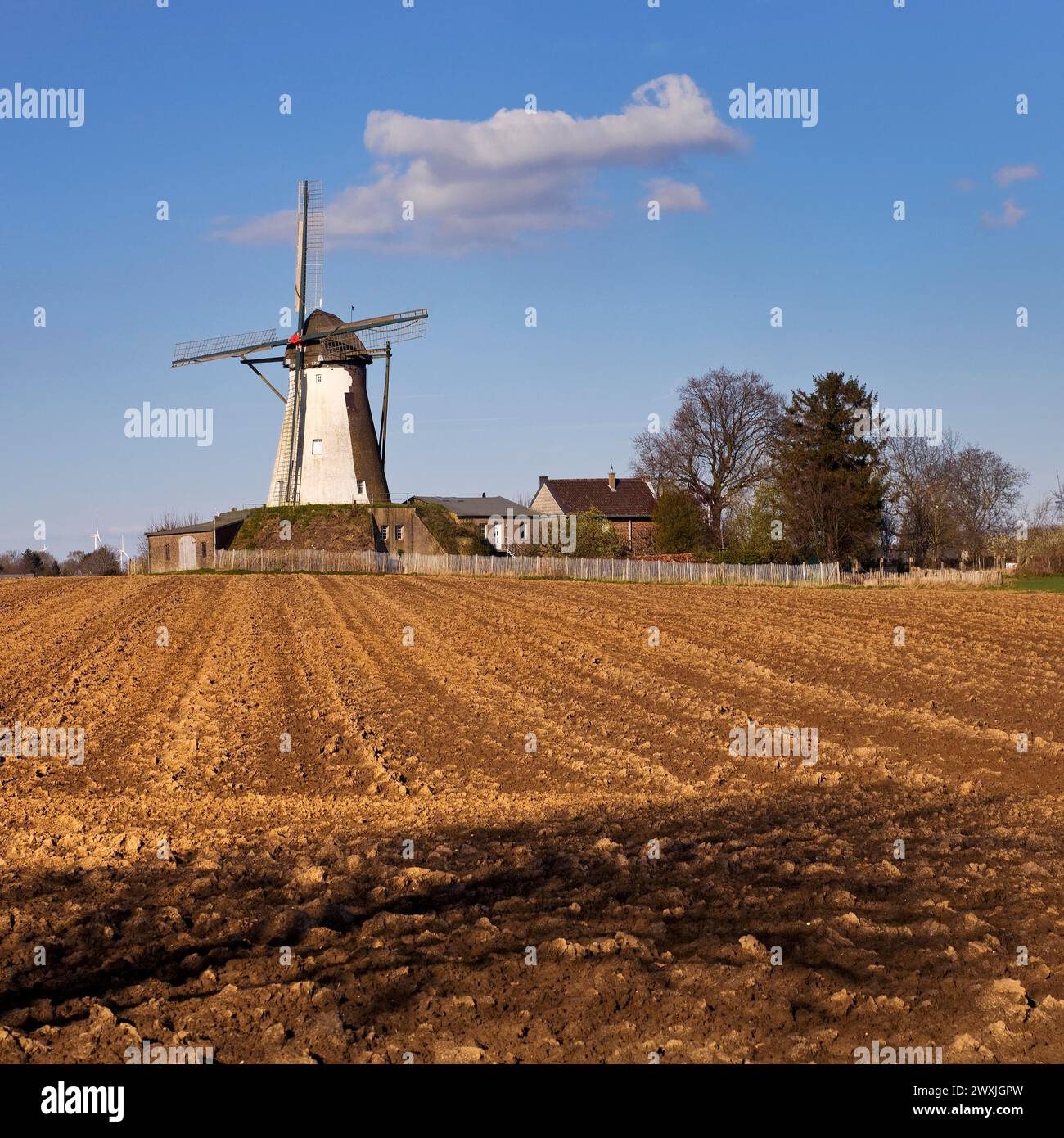 Historic Grottenherten tower windmill, Bedburg, Rhine-Erft district, Lower Rhine, North Rhine-Westphalia, Germany Stock Photo