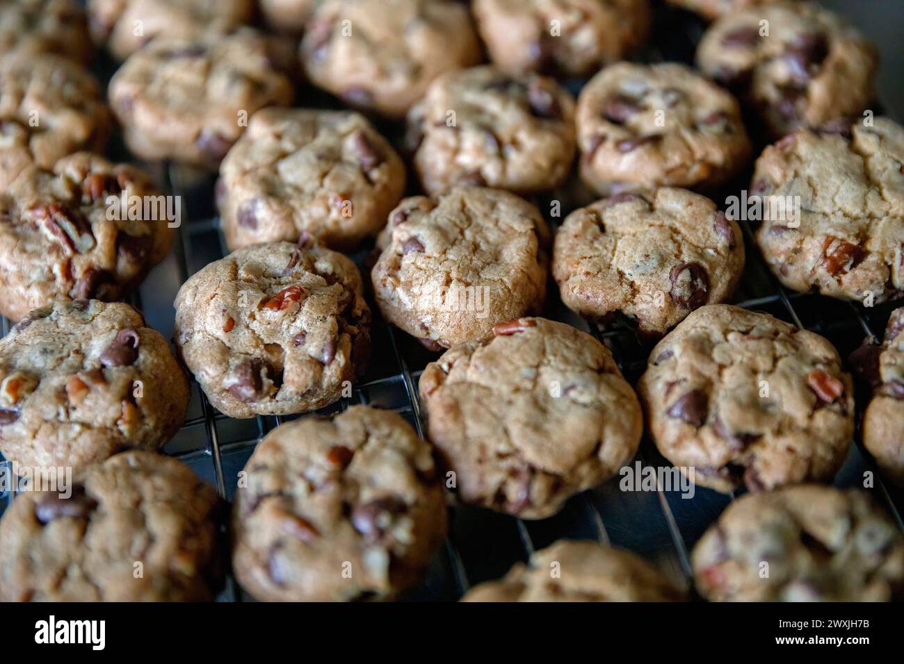 Freshly baked chocolate chip and nut cookies, cooling on rack. Stock Photo