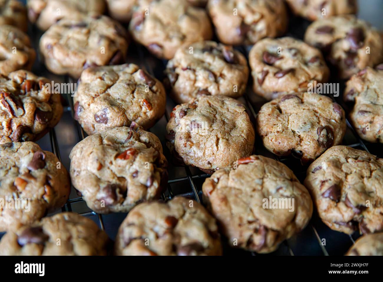 Freshly baked chocolate chip cookies, cooling on rack. Stock Photo