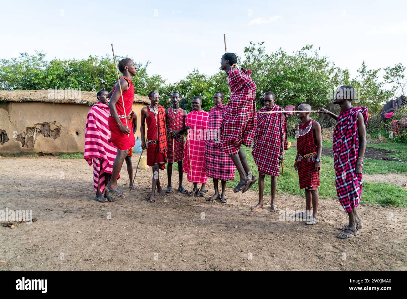 A Ritual Celebration Example Masai tribe members jumping during ritual celebration in kenya masai ...