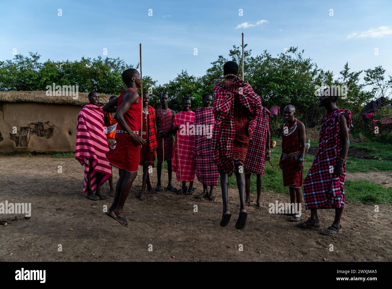 A Ritual Celebration Example Masai tribe members jumping during ritual celebration in kenya masai ...