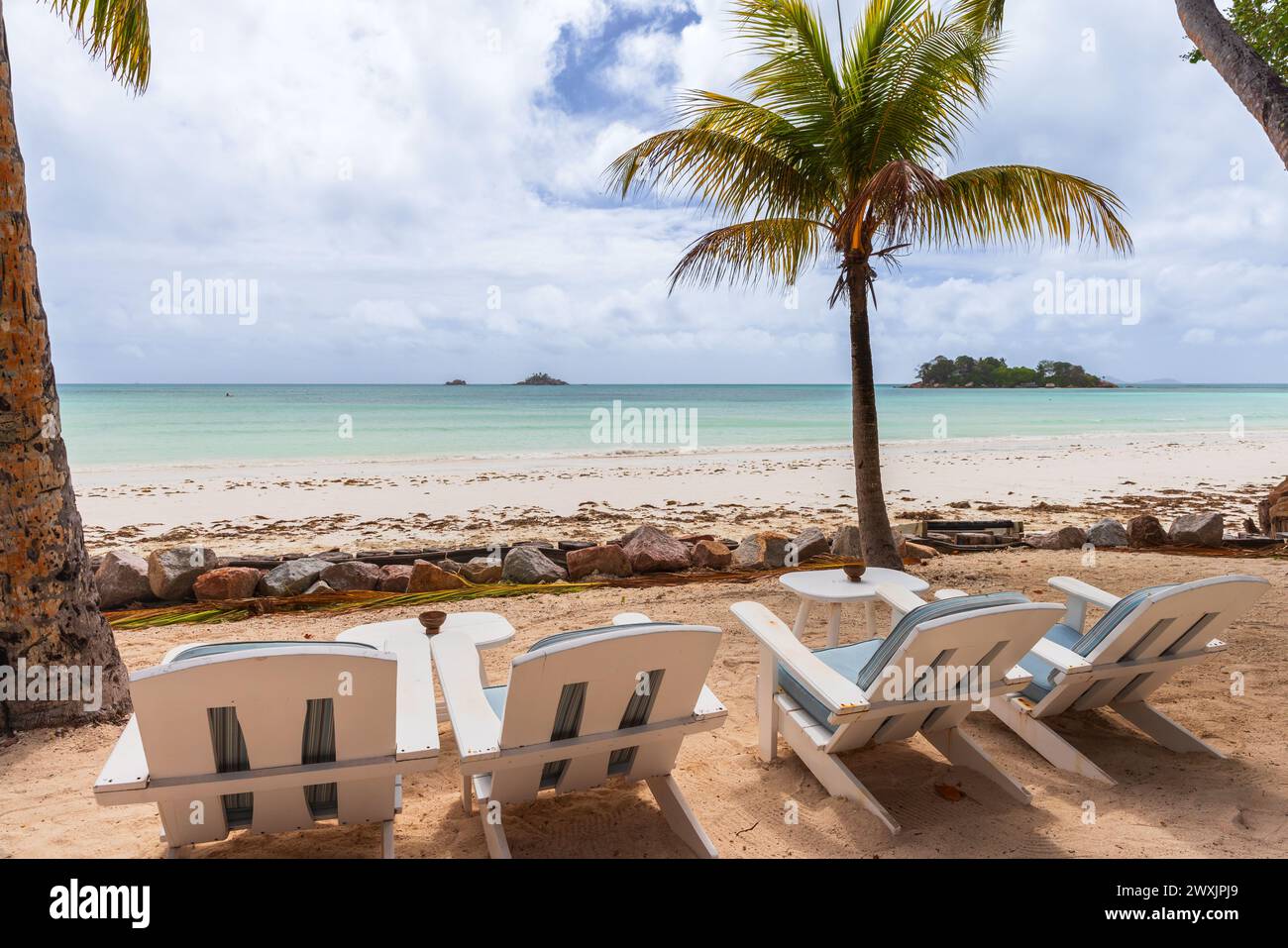 Seaside view with vacant white chaise lounges under coconut palm trees on a sunny day. Cote D'Or Beach, Praslin island, Seychelles Stock Photo