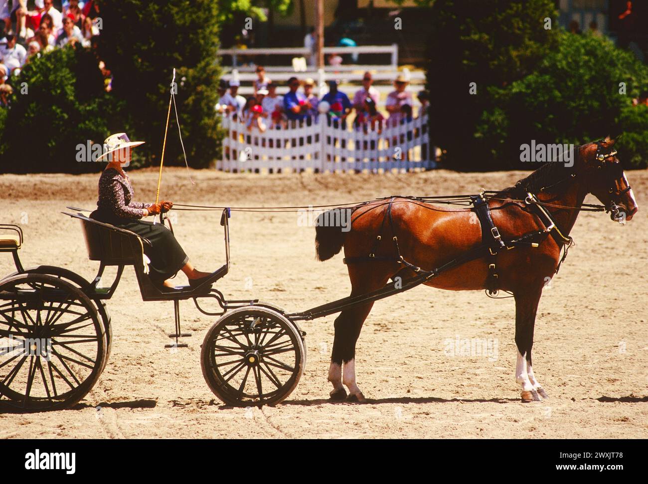 Devon Horse Show & Country Fair; Devon; Pennsylvania; USA. Oldest (1896) outdoor show in USA. Stock Photo