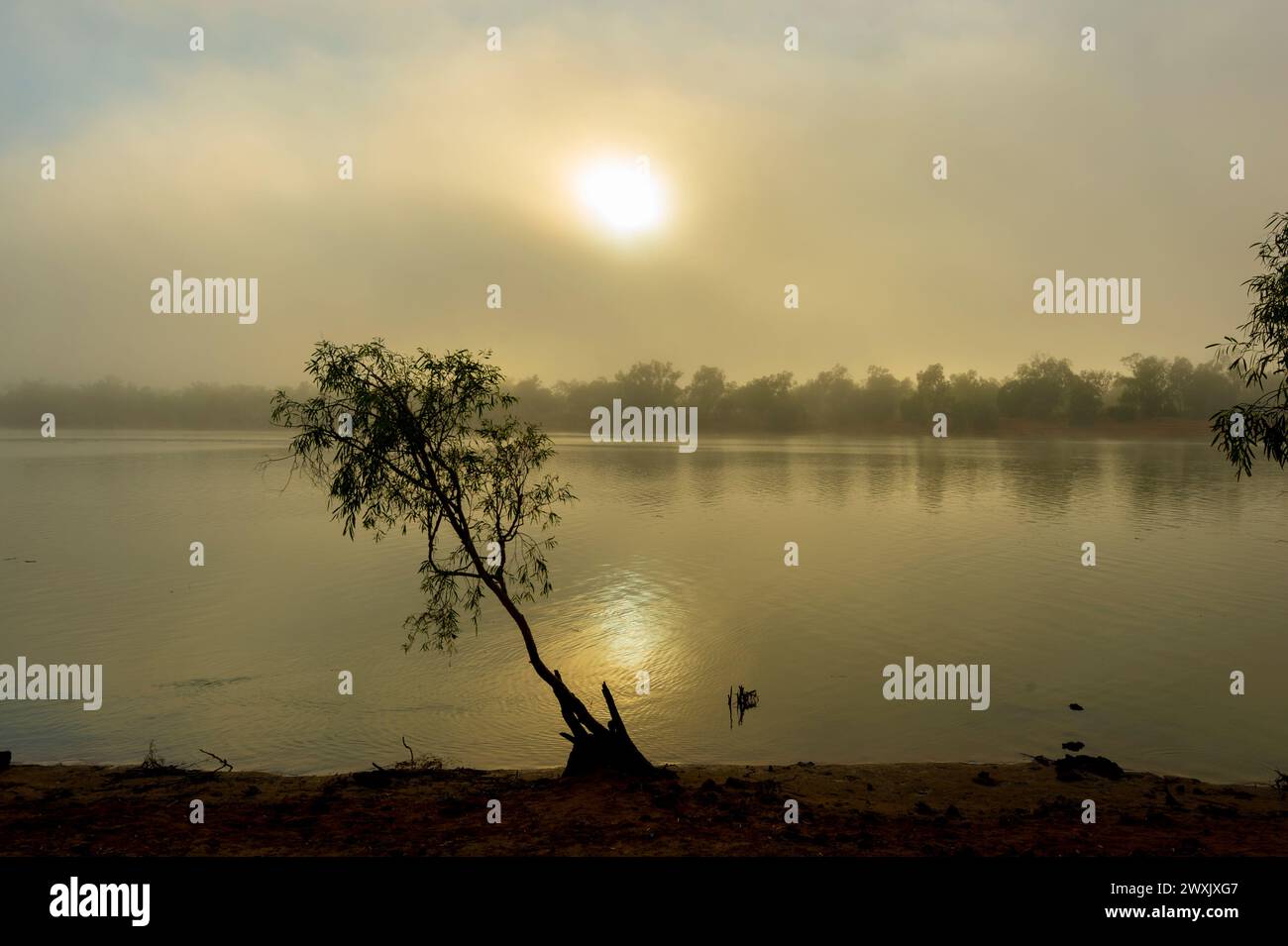 Atmospheric misty sunrise over the Fitzroy River, near Fitzroy Crossing, Western Australia, WA, Australia Stock Photo