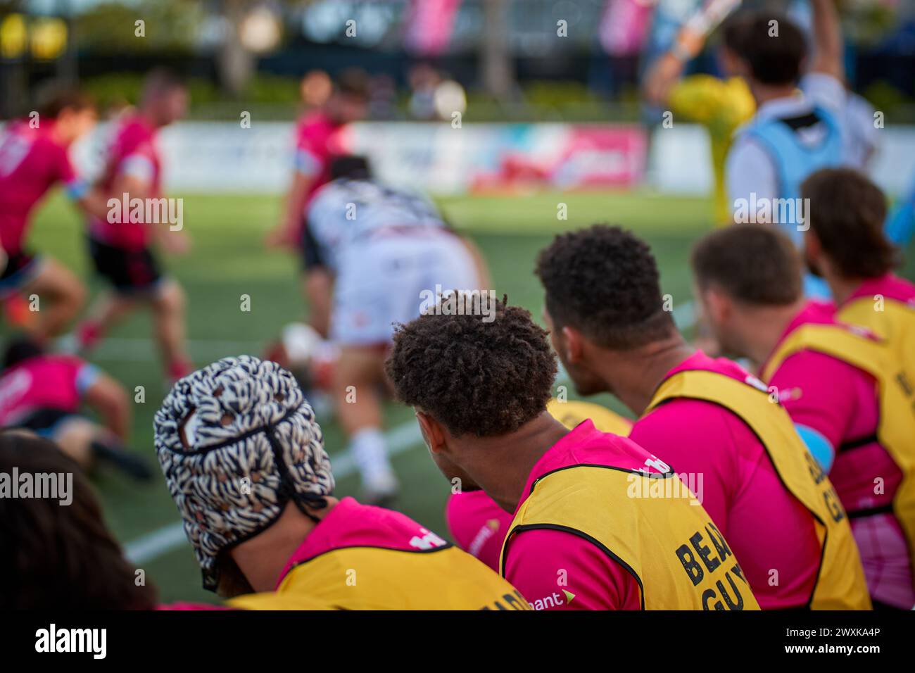 Miami shark rugby club hi-res stock photography and images - Alamy