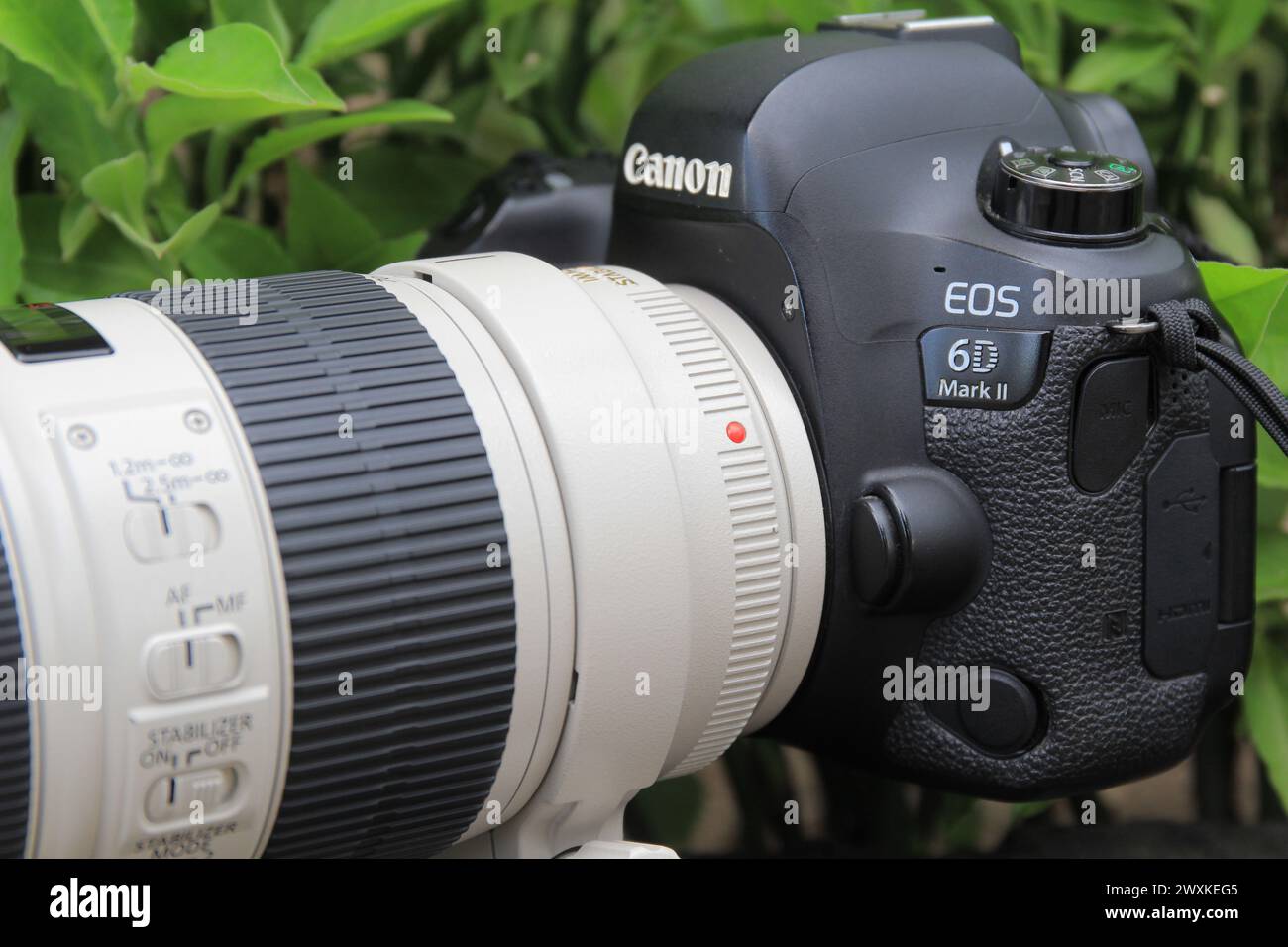 Canon 70 200mm f2 8 is hi-res stock photography and images Canon 70 200mm f2 8 is hi-res stock photography and images