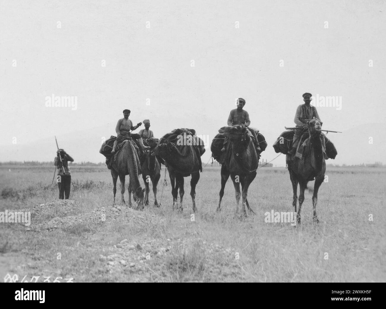 CAMELS AND THEIR DRIVERS showing Mr. Ararat in the distance. Taken in connection with Gen. Harbord's visit to Armenia ca. September 1919 Stock Photo