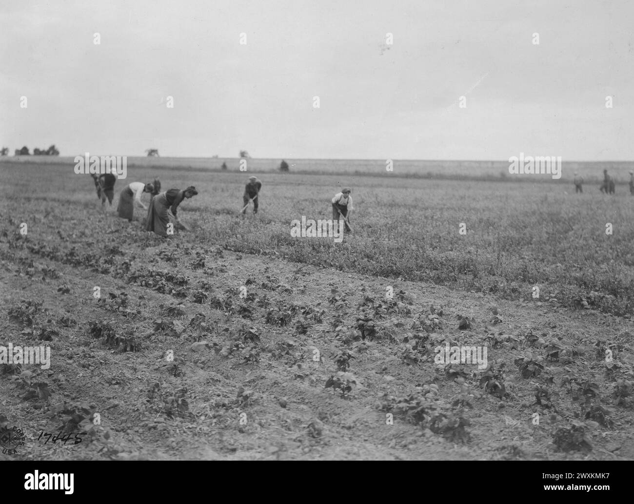 French refugees working on the farms of the Q.M.C. Garden Service; Versailles, France ca. 1918 Stock Photo