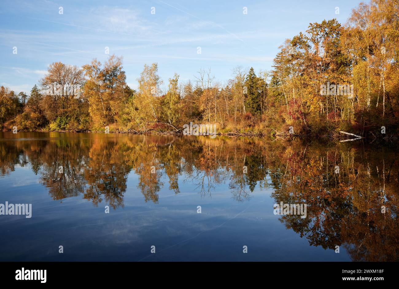 A serene lake with trees mirrored in calm waters Stock Photo