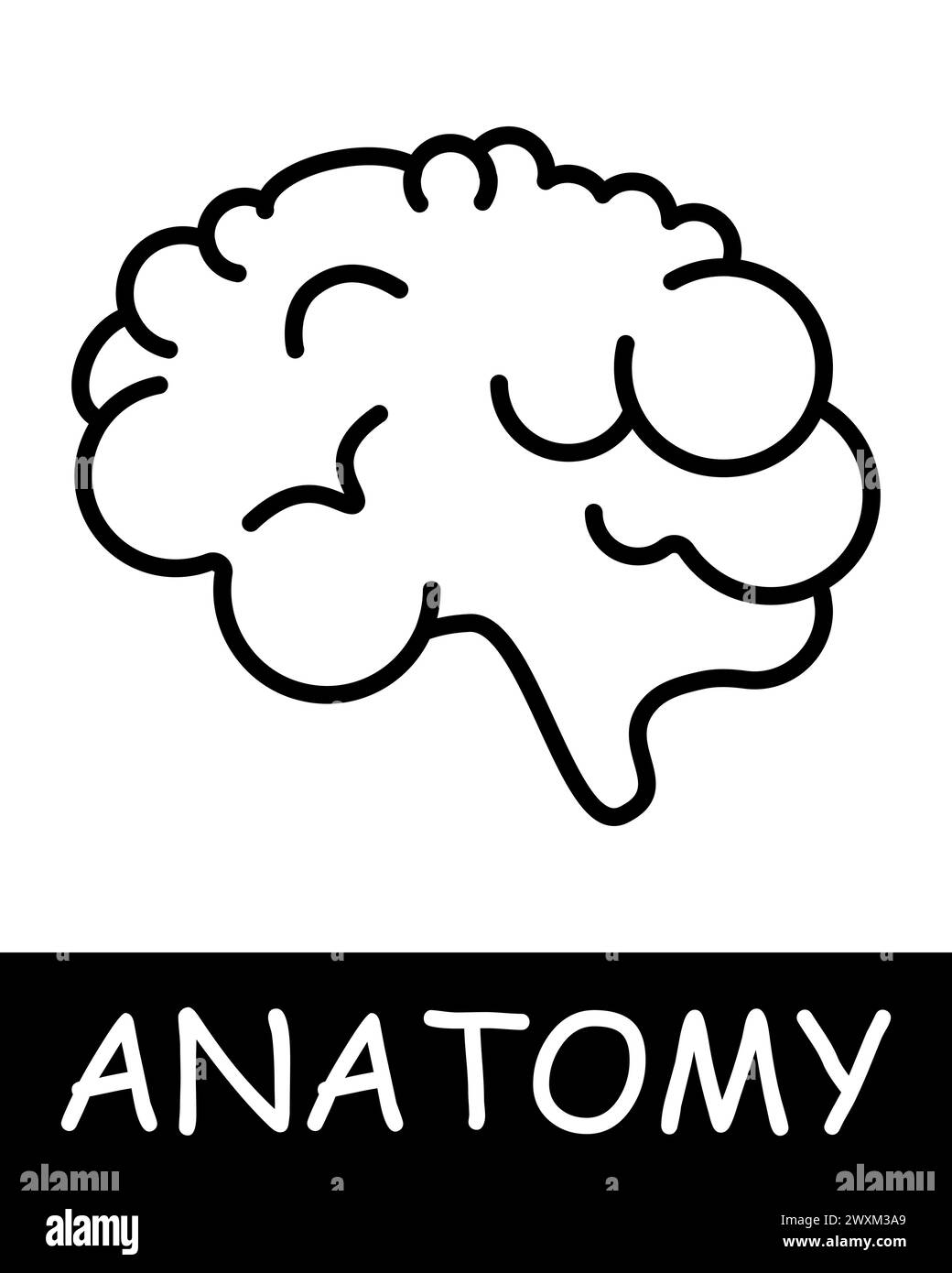 Brain line icon. Neurotransmitters, gray matter, thinking, anatomy, medicine, teaching, doctor, nurse, human, body, physiology. Vector line icon for b Stock Vector