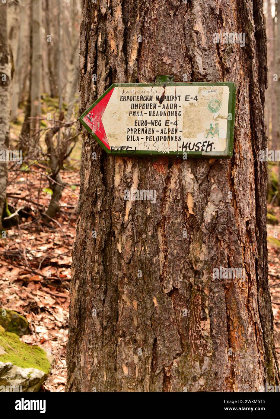 E4 European Long Distance Path directional sign for the Pyrenees to Peloponnese international hiking route in Vitosha Mountain near Sofia, Bulgaria Stock Photo