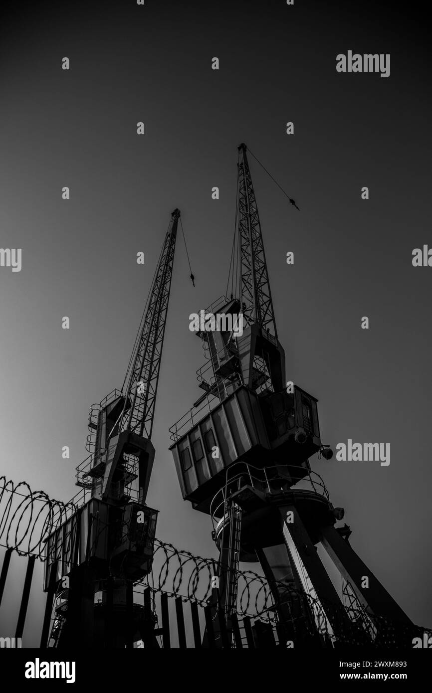 A monochrome low-angle shot of two cranes perched on a pier. Stock Photo