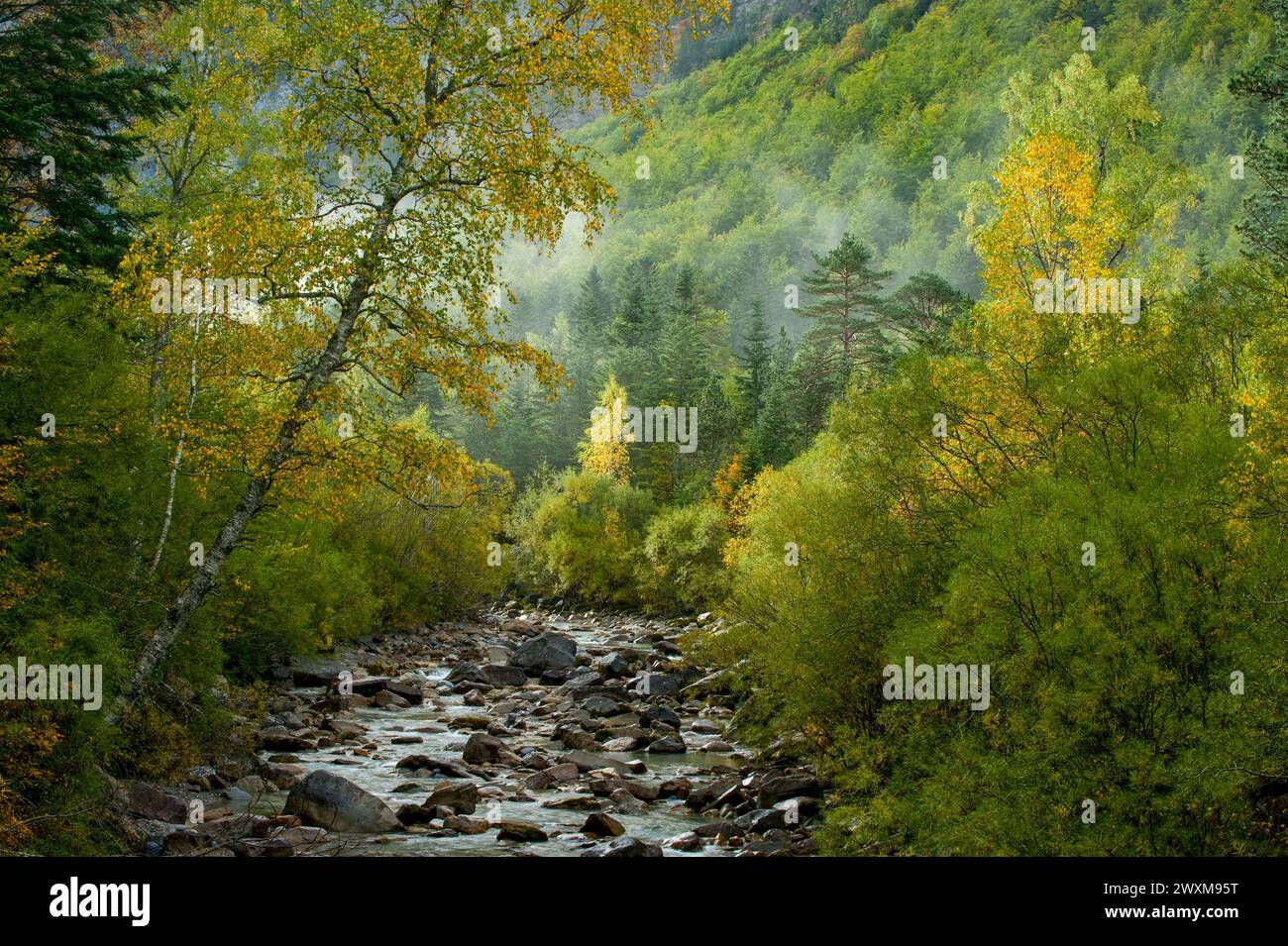 Arazas river, Huesca Pyrenees, Ordesa National Park, Aragon, Spain, Europe Stock Photo